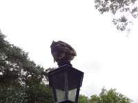 DSC01826