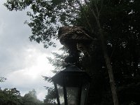 IMG 5725