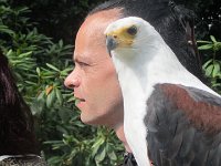 IMG 5795