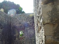 P1030269
