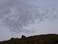 P1030299