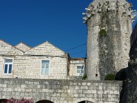P1030495