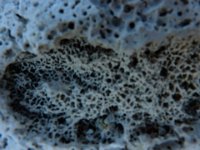 P1030509