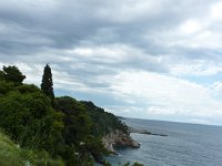 P1030552